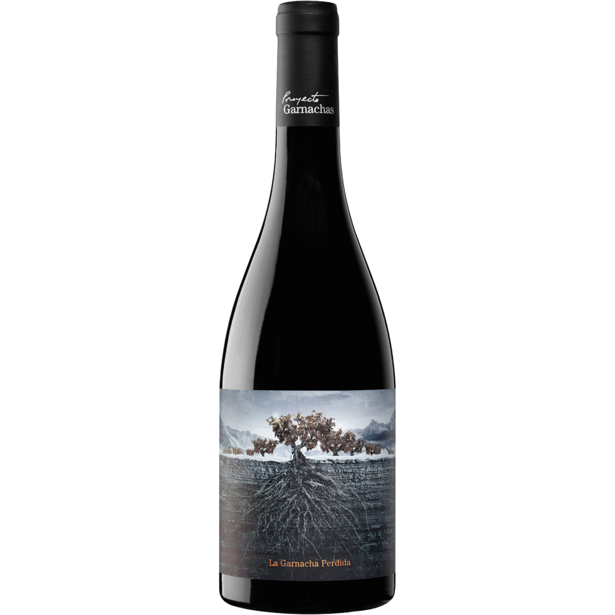 Proyecto Garnachas La Garnacha Perdida del Pirineo