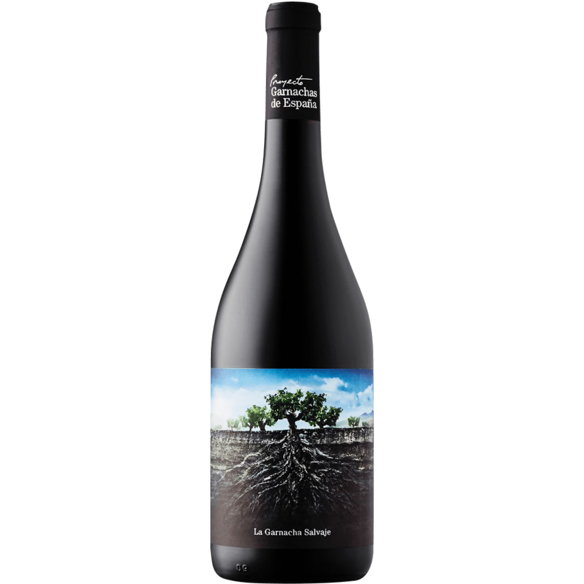 Proyecto Garnachas La Garnacha Salvaje del Moncayo
